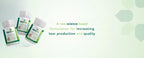Three bottles Lacritec Dry Eye Supplement with text about increasing tear production on a green background